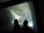 Glass floor